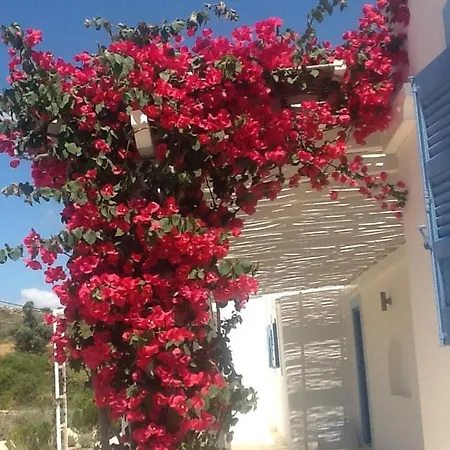 Casa Koklakura Vilă *